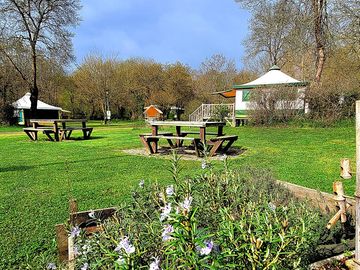 Dining area, barbecue and aromatic plants.