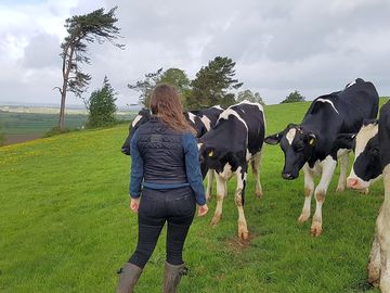 Meeting the girls
