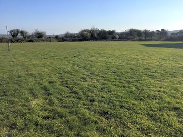 Grass pitches
