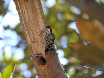 Great area for birdwatching