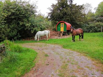 Gandalf's gypsy caravan