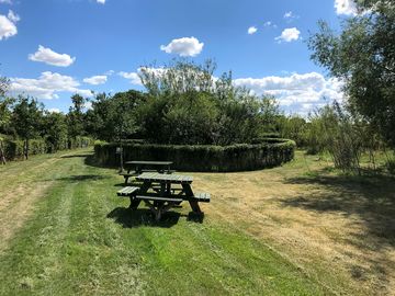 Grass pitches with picnic tables