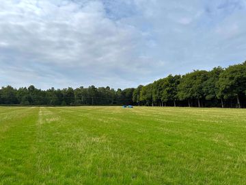 Field