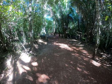 Uma natureza sem igual...