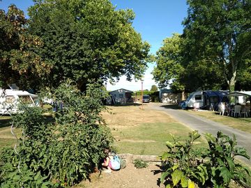 Pitches among the trees