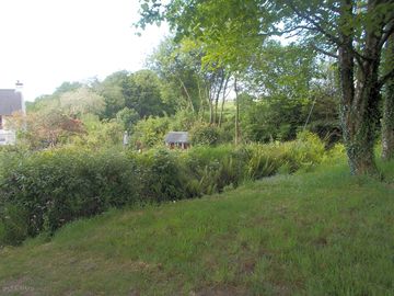 Around the site