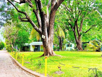 Grounds - plantation drive
