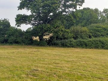 Quiet location near a shop and sports club