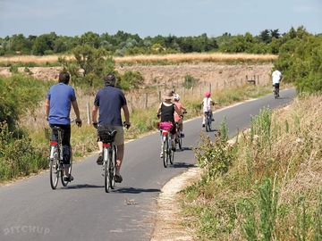 Sunny and scenic landscapes for family bike rides