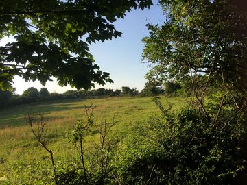 Spacious, quiet pitches
