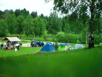 Grassy pitches