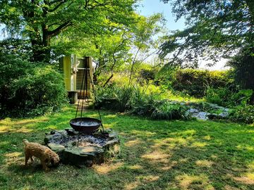 Woodland pond
