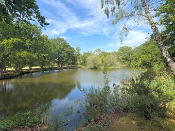 Fishing lake located at the front of the park with newly built fishing pegs
