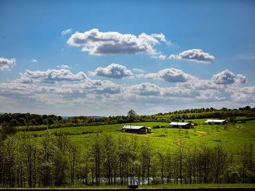 View of the lodges