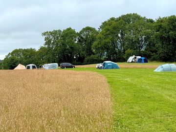 Spacious pitches in this beautiful campsite field