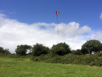 Let's go fly a kite