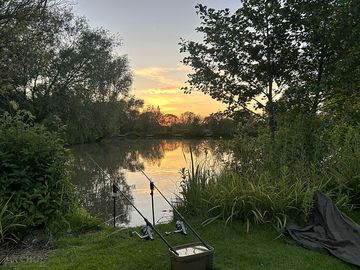 Sunset over hawthorn