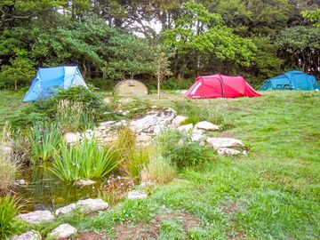 Pitches on site