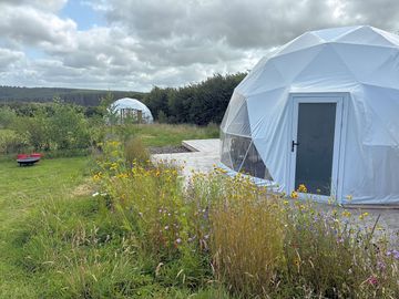 Domes and flowers
