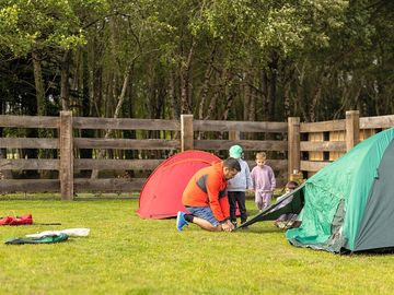 Tent pitches