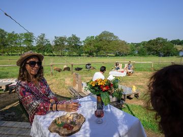 Alfresco picnic time