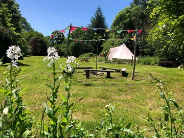 Turquoise tent