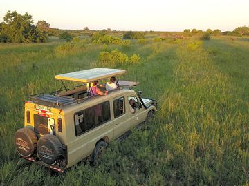 Game-viewing safari in saadani national park