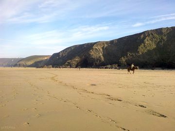 Perranporth: dog-friendly all year round