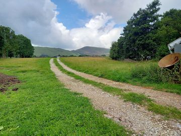 The way in