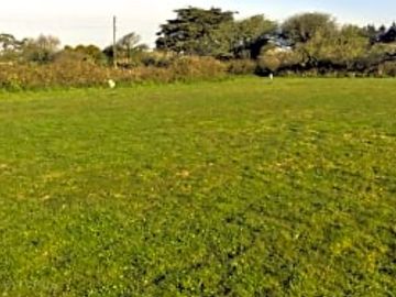 Electric pitches