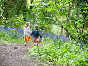 Set in over 100 acres of woodland on the edge of st ives