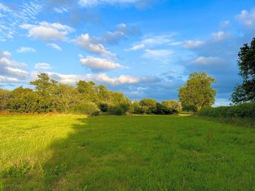 Field view