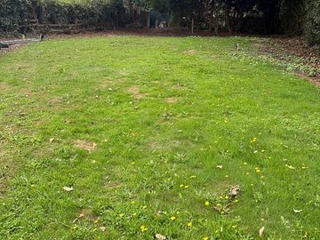 Rear of the site