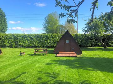 Freshly cut grass