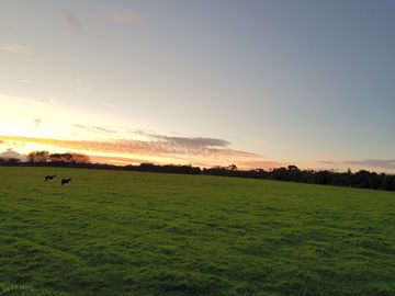 Sundown on the farm