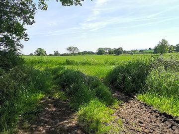 View of the farmland