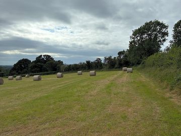 Camping field