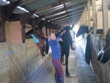 Bed and breakfast available for your horse on holiday too