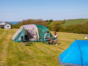 Electric grass tent pitches