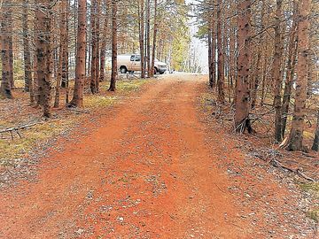 Entrance driveway