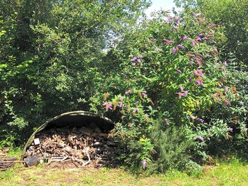 Wood available for use to make a small fire at the log circle