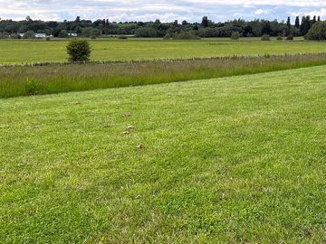 View from the site