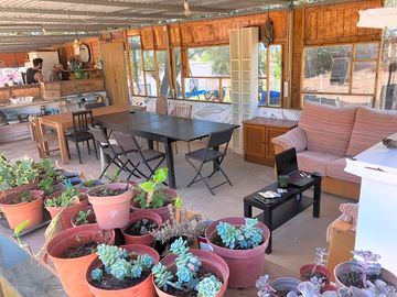 Shared area and kitchen