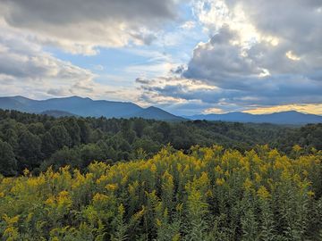 Gorgeous views of julius knob