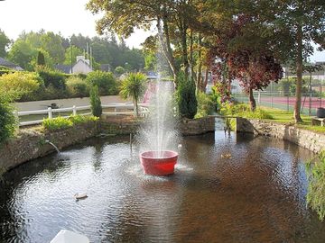 Pond at the site