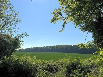 Farm view