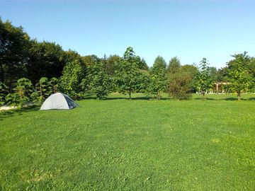 Spacious pitches