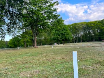 Grass pitch