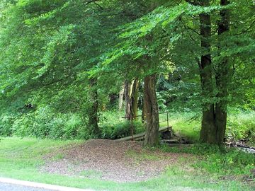 Woodland walks