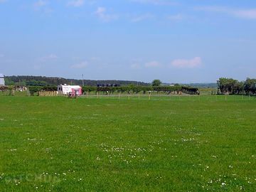Campsite
